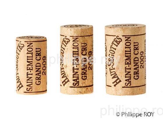 CHATEAU HAUT SEGOTTES, VIN DE SAINT EMILION, GIRONDE (33V33338.jpg)