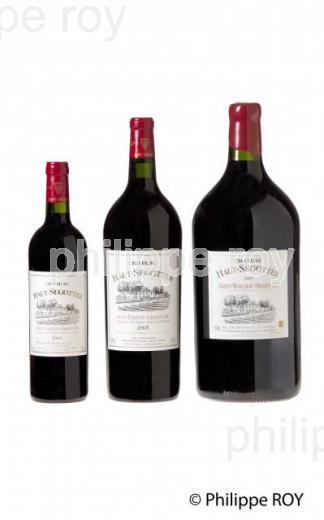 CHATEAU HAUT SEGOTTES, VIN DE SAINT EMILION, GIRONDE (33V33339.jpg)