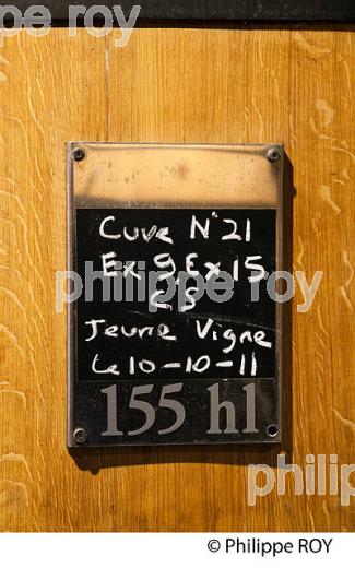 IDENTIFICATION DE CUVE,  VINS DU MEDOC, GIRONDE, FRANCE (33V33401.jpg)