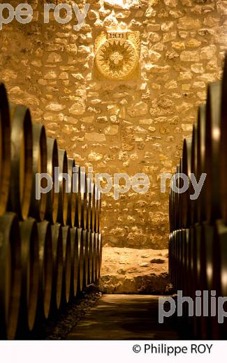 CHATEAU ESCURAC, VIN DU MEDOC, GIRONDE (33V33515.jpg)