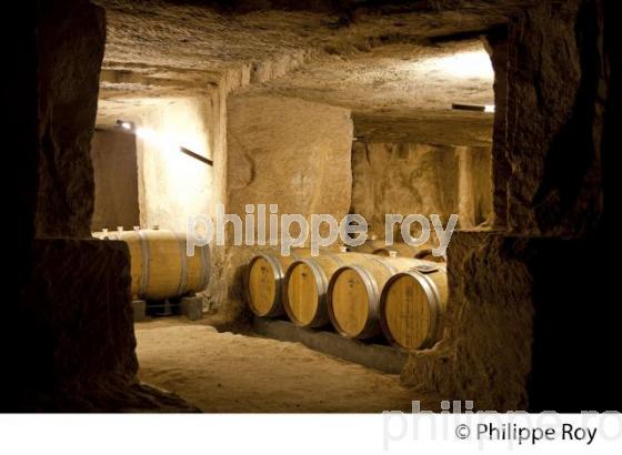CHATEAU BEAUSEJOUR DUFFAU LAGARROSSE, VIN DE SAINT EMILION, GIRONDE (33V33619.jpg)