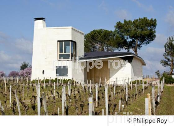 CHATEAU DU PIN, VIN DE POMEROL, GIRONDE (33V33626.jpg)