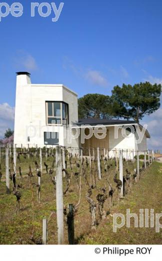 CHATEAU DU PIN, VIN DE POMEROL, GIRONDE (33V33628.jpg)