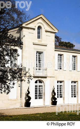 CHATEAU LA POINTE, VIN DE POMEROL, GIRONDE (33V33630.jpg)