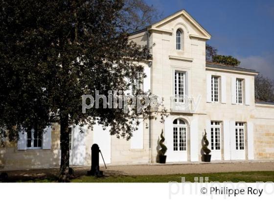 CHATEAU LA POINTE, VIN DE POMEROL, GIRONDE (33V33631.jpg)