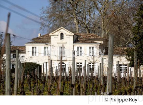 CHATEAU LA POINTE, VIN DE POMEROL, GIRONDE (33V33632.jpg)