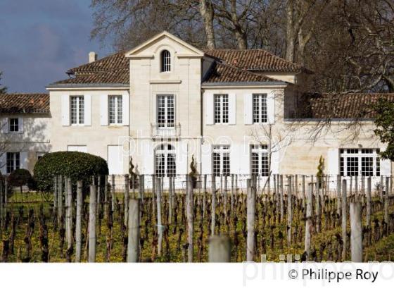 CHATEAU LA POINTE, VIN DE POMEROL, GIRONDE (33V33633.jpg)