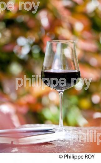 VERRE DE VIN ROUGE DANS LA NATURE, VINS DE BORDEAUX (33V33709.jpg)