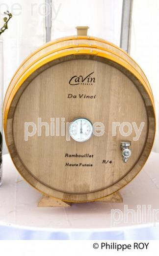 DEGUSTATION DE VINS DE BORDEAUX (33V33732.jpg)