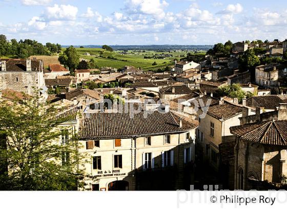 VIGNOBLE DE SAINT EMILION, GIRONDE (33V34227.jpg)