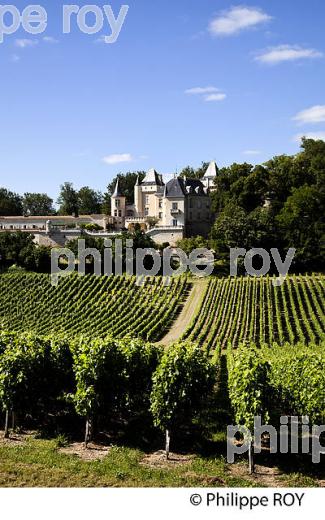 CHATEAU LA RIVIERE, VIN DE FRONSAC, GIRONDE (33V34336.jpg)