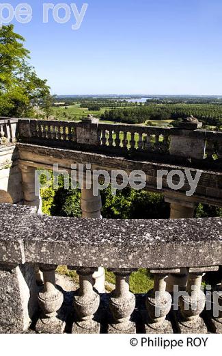 CHATEAU DE LA ROQUE, VIN DE FRONSAC, GIRONDE (33V34507.jpg)