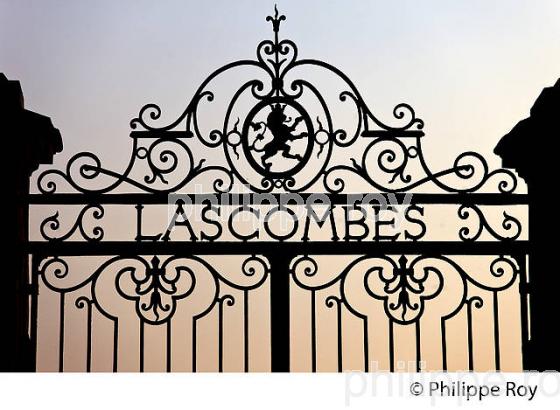 CHATEAU LASCOMBES, VIN DE MARGAUX, GIRONDE (33V34520.jpg)