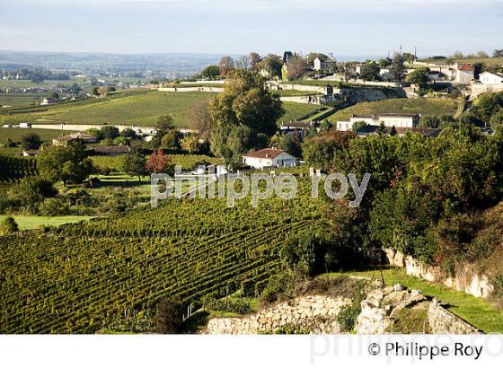 VILLAGE ET VIGNOBLE DE SAINT EMILION, GIRONDE (33V35717.jpg)