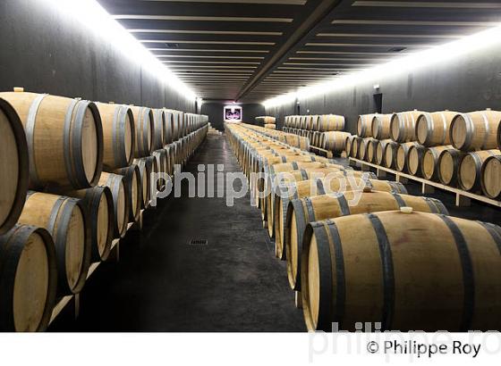 CHATEAU SIRAN, VIN DE MARGAUX, GIRONDE (33V36610.jpg)