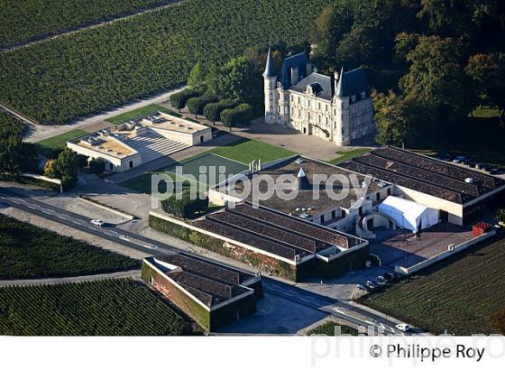 CHATEAU PICHON LONGUEVILLE, VIN DE PAUILLAC, GIRONDE (33V36822.jpg)