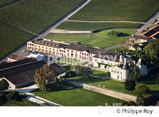 CHATEAU LAFITE ROTHSCHILD, VIN DE PAUILLAC, GIRONDE (33V36825.jpg)