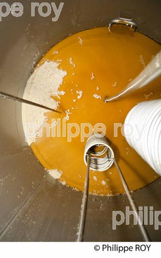 DEBOURBAGE, MOUT BLANC, VINIFICATION EN BORDELAIS (33V37015.jpg)