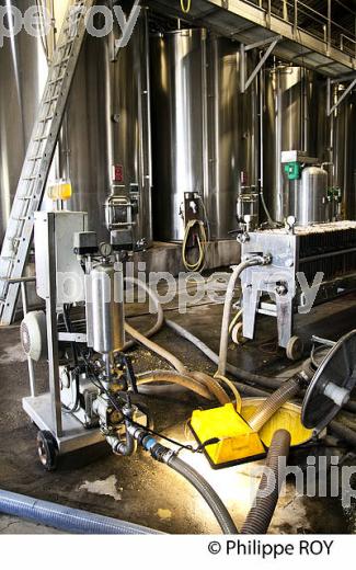 DEBOURBAGE, MOUT BLANC, VINIFICATION EN BORDELAIS (33V37017.jpg)