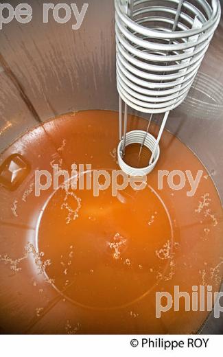 DEBOURBAGE, MOUT BLANC, VINIFICATION EN BORDELAIS (33V37240.jpg)