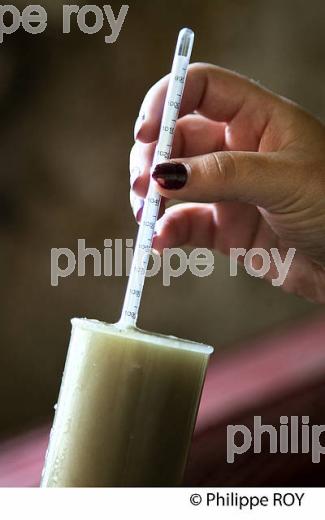CONTROLE DENSITE, JUS DE RAISIN BLANC, VINIFICATION EN BORDELAIS (33V37326.jpg)