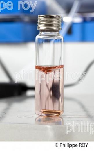 DOSAGE  DES PHTALATES DANS LE VIN, LABORATOIRE EXCELL, MERIGNAC, GIRONDE (33V37725.jpg)