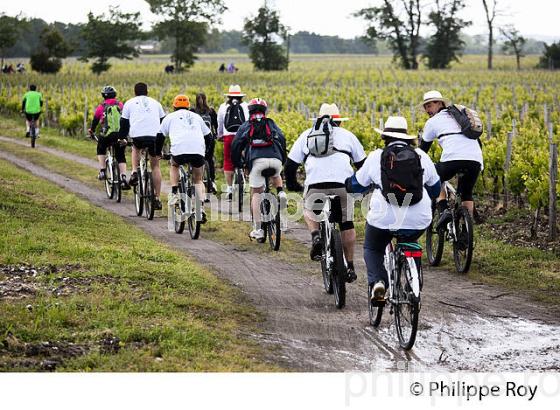 LA MEDOCAINE, COURSE EN VTT AVEC DEGUISEMENT, MARGAUX, MEDOC, GIRONDE. (33V38008.jpg)