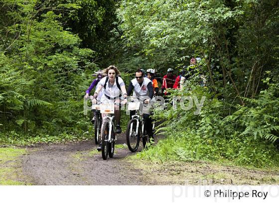 LA MEDOCAINE, COURSE EN VTT AVEC DEGUISEMENT, MARGAUX, MEDOC, GIRONDE. (33V38040.jpg)