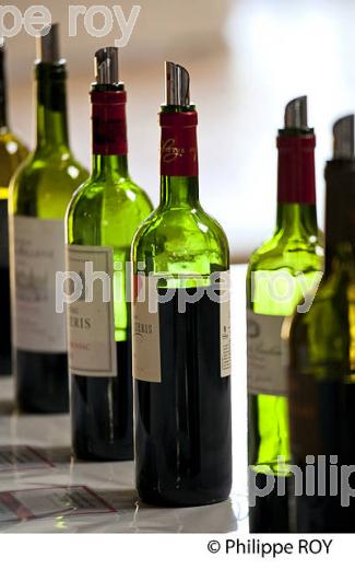 DEGUSTATION VINS PRIMEURS,  SAINT EMILION, GIRONDE. (33V38634.jpg)