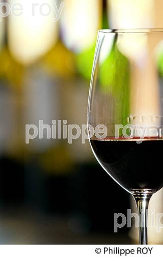 DEGUSTATION VINS PRIMEURS,  SAINT EMILION, GIRONDE. (33V38706.jpg)