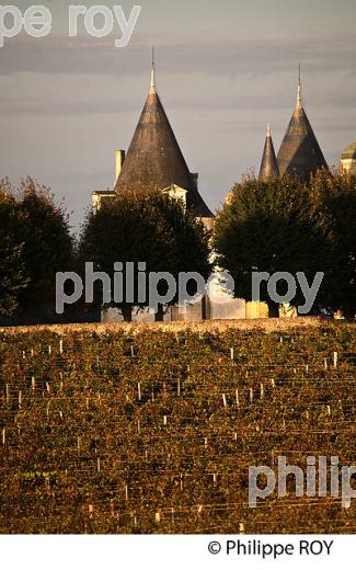 CHATEAU DES TOURS , AOC  MONTAGNE SAINT EMILION, VIGNOBLE DE BORDEAUX,  MONTAGNE, GIRONDE, AQUITAINE. (33V39033.jpg)