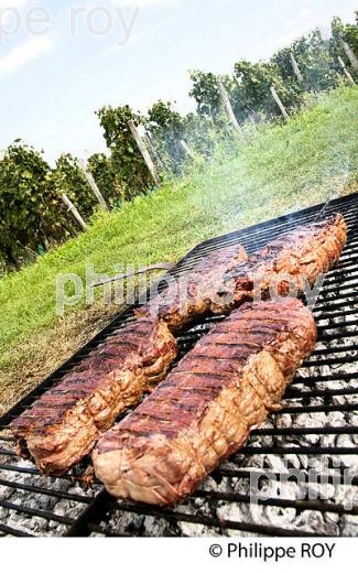 REPAS DE VENDANGE, CHATEAU FLEUR PLAISANCE, MONTAGNE SAINT EMILION, VIGNOBLE DE BORDEAUX,  MONTAGNE, GIRONDE, AQUITAINE. (33V39906.jpg)