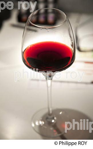 COURS DE DEGUSTATION, ECOLE DU VIN DU CIVB, BORDEAUX. (33V40705.jpg)