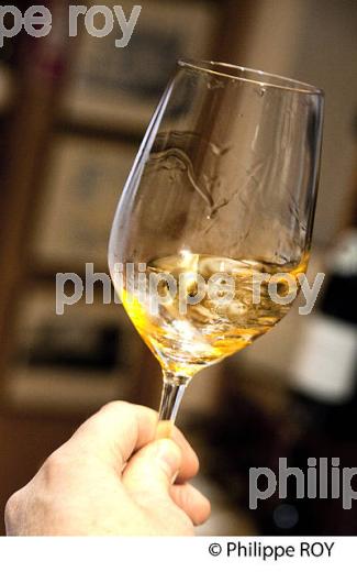 DEGUSTATION  DE VIN LIQUOREUX, CAVE D' ULYSSE,  MARGAUX, MEDOC, GIRONDE, AQUITAINE. (33V40730.jpg)