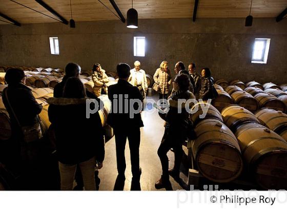 VISITE DU CHAI BARRIQUES , CHATEAU PALMER, APPELLATION MARGAUX, MEDOC, GIRONDE, AQUITAINE. (33V40737.jpg)