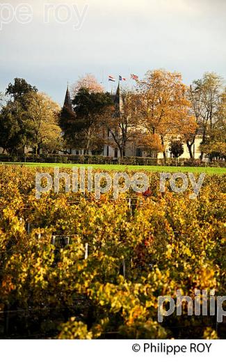 CHATEAU PALMER, APPELLATION MARGAUX, MEDOC, GIRONDE, AQUITAINE. (33V40803.jpg)