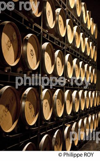 CHAI A BARRIQUES, CHATEAU FERRERE, AOC MARGAUX, VINS DU MEDOC, GIRONDE, AQUITAINE (33V40814.jpg)