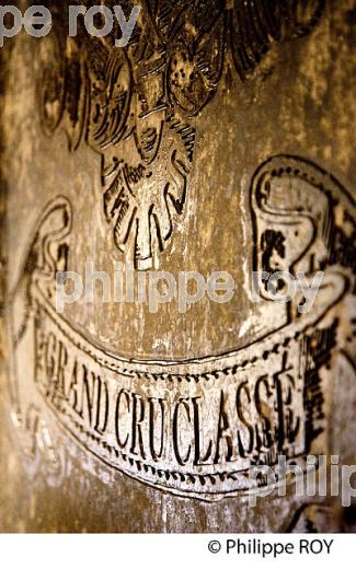 CUVIER DU CHATEAU FERRERE, AOC MARGAUX, VINS DU MEDOC, GIRONDE, AQUITAINE (33V40815.jpg)