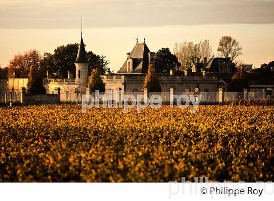 CHATEAU MAROJALLIA , APPELLATION MARGAUX, MEDOC, GIRONDE, AQUITAINE. (33V40936.jpg)