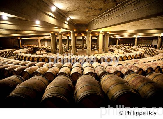 CHATEAU LAFITE ROTHSCHILD, PREMIER CRU CLASSE, PAUILLAC, VINS DU MEDOC, GIRONDE. (33V41232.jpg)