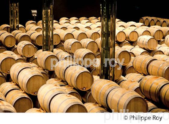 CHATEAU COS D' ESTOURNEL, AOC SAINT ESTEPHE, MEDOC, VINS DE BORDEAUX,  GIRONDE , AQUITAINE. (33V41406.jpg)