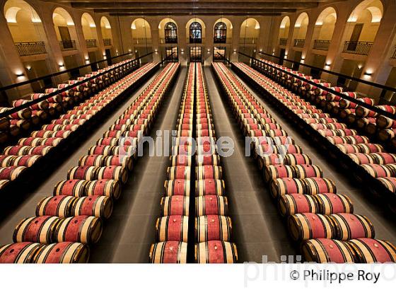 CHATEAU MONTROSE , AOC SAINT ESTEPHE, MEDOC, VINS DE BORDEAUX,  GIRONDE , AQUITAINE. (33V41522.jpg)