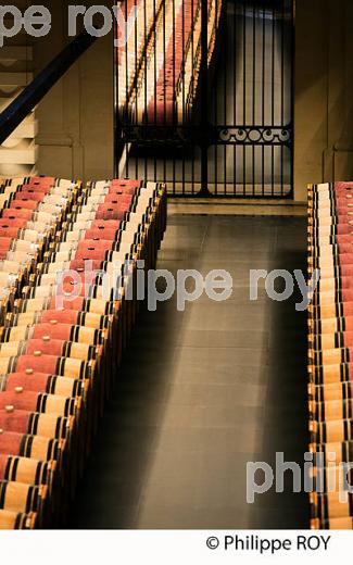 CHATEAU MONTROSE , AOC SAINT ESTEPHE, MEDOC, VINS DE BORDEAUX,  GIRONDE , AQUITAINE. (33V41532.jpg)