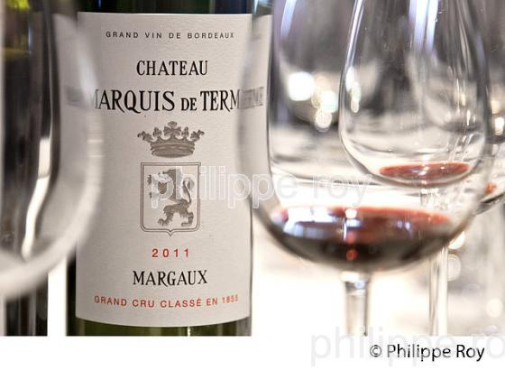 CHATEAU  MARQUIS DE TERME ,  AOC  MARGAUX, MEDOC, GIRONDE. (33V42137.jpg)