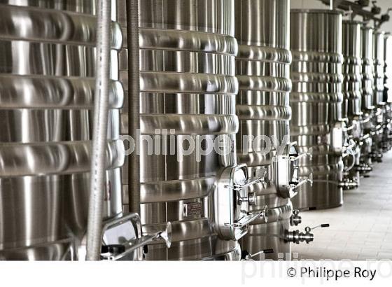 VINIFICATION EN BORDELAIS, CUVE RIE EN INOX AVEC THERMOREGULATION ET CHAPEAU FLOTTANT POUR  PIGEAGE. (33V42403.jpg)