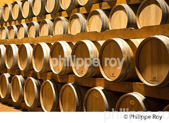 CHAI A BARRIQUES, AOC MONTAGNE SAINT-EMILION, VINS DE BORDEAUX, GIRONDE. (33V43320.jpg)