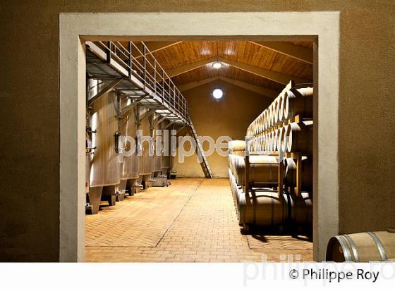 CHAI A BARRIQUES, AOC MONTAGNE SAINT-EMILION, VINS DE BORDEAUX, GIRONDE. (33V43324.jpg)
