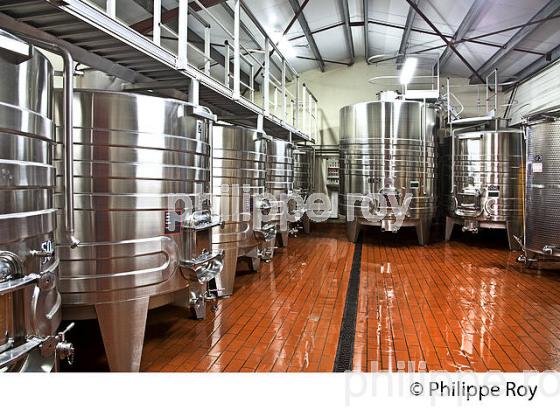 CUVIER DE VINIFICATION , INOX, AOC MONTAGNE SAINT-EMILION, VINS DE BORDEAUX, GIRONDE. (33V43329.jpg)