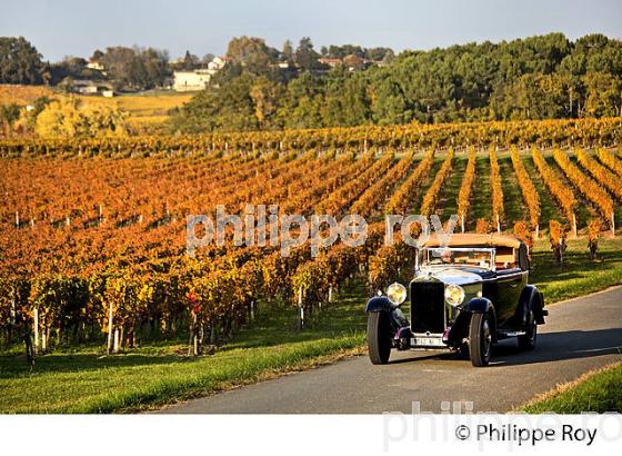 VOITURE DE COLLECTION DELAGE 1930 ET VIGNOBLE DE MONTAGNE SAINT EMILION, AUTOMNE, GIRONDE. (33V44433.jpg)