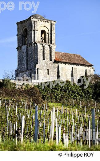 EGLISE ROMANE DE PARSAC ET  VIGNE EN HIVER, VIGNOBLE DE MONTAGNE SAINT EMILION. (33V44731.jpg)